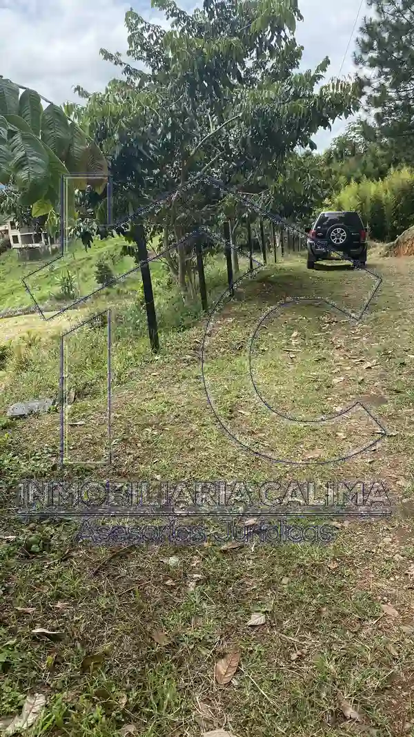 Lote 15 Bosques del Calima